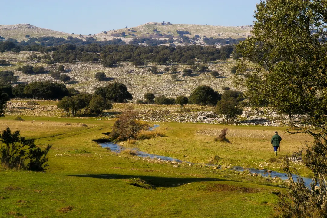 POLJE DE LA NAVA DE CABRA. Foto: Turismo de Andalucía